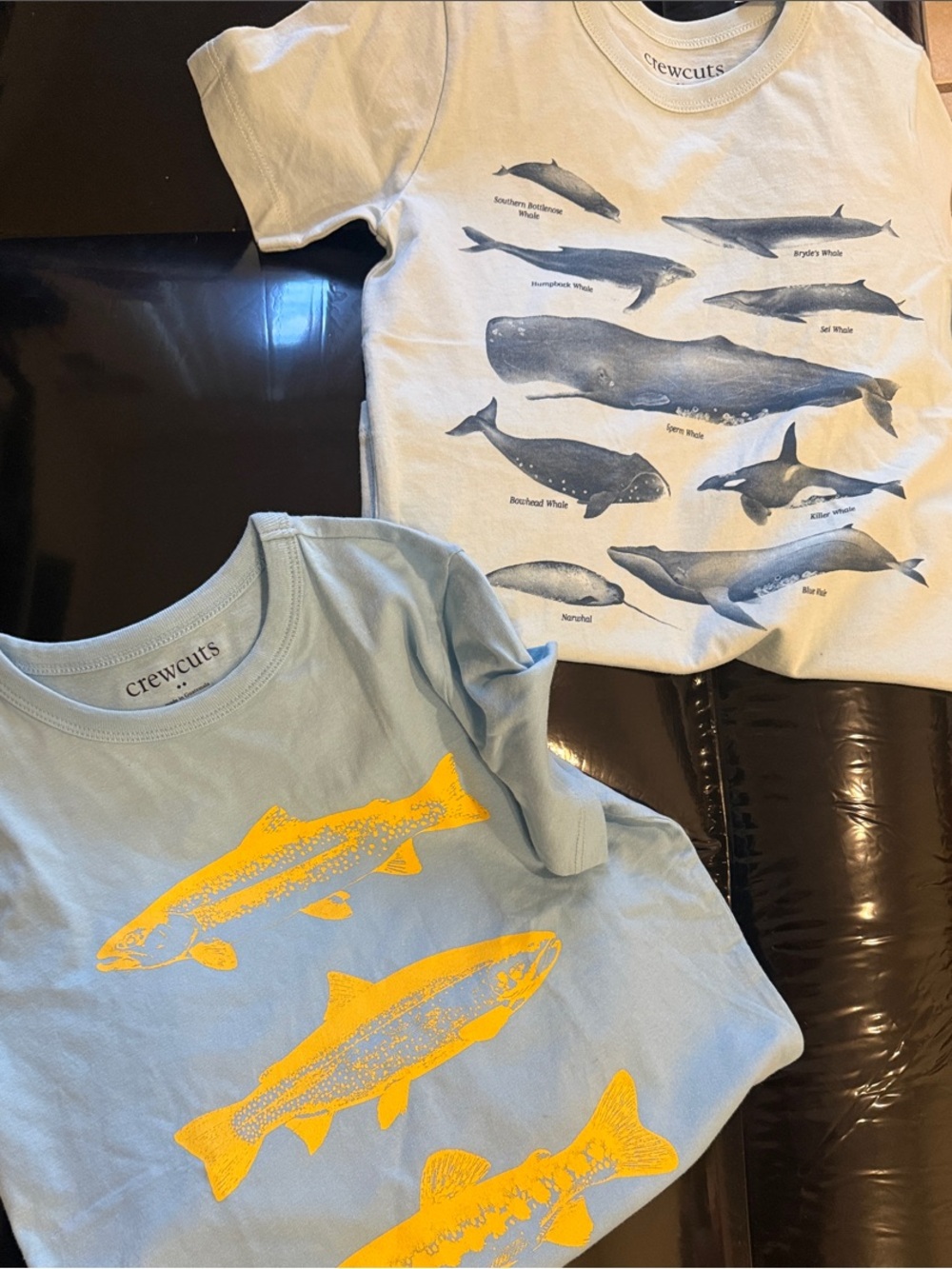 2 NWT Boys Crewcuts Light Blue Tee w/ Yellow Fish & Light Blue Tee with Whales
